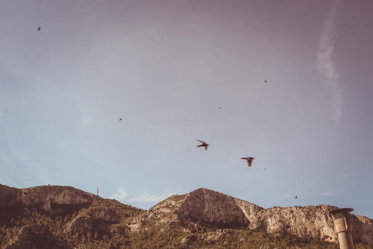 Ca La Tendeta Tivissa Dış mekan fotoğraf